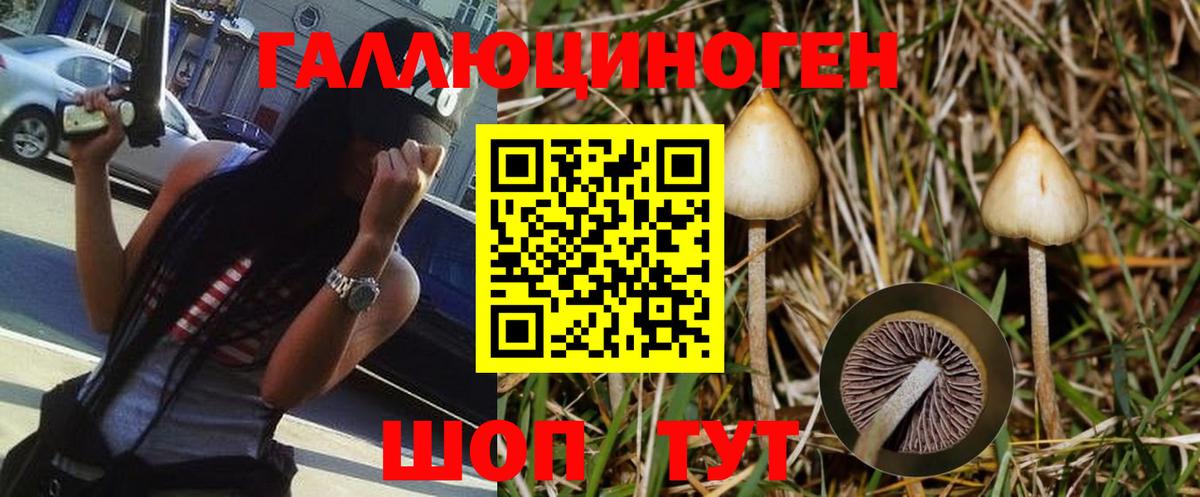Псилоцибиновые грибы GOLDEN TEACHER  Вход с VPN  Галлюциногенные грибы Psilocybine cubensis  Когалым 